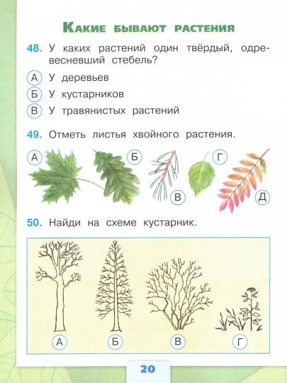 Плешаков Окружающий мир. Тесты 2 кл. (Приложение 2) (Школа России)