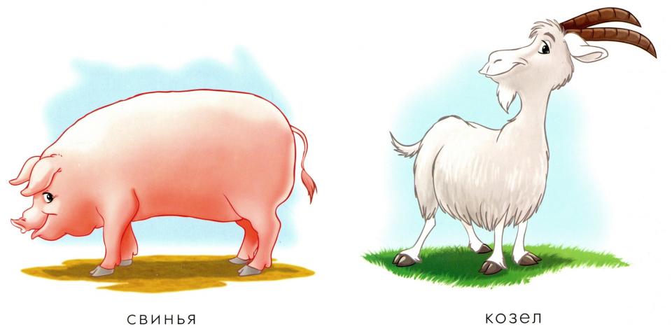 Домашние животные