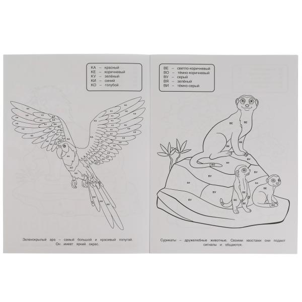 Весёлый зоопарк. Раскраска по буквам. М.А. Жукова 214х290мм. Скрепка. 16 стр. Умка в кор.50шт