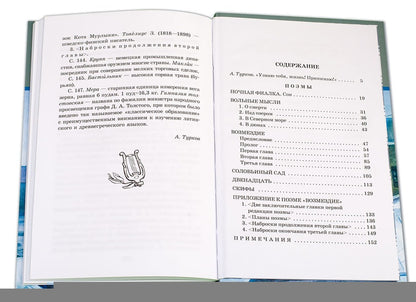 Поэмы/ДЛ
