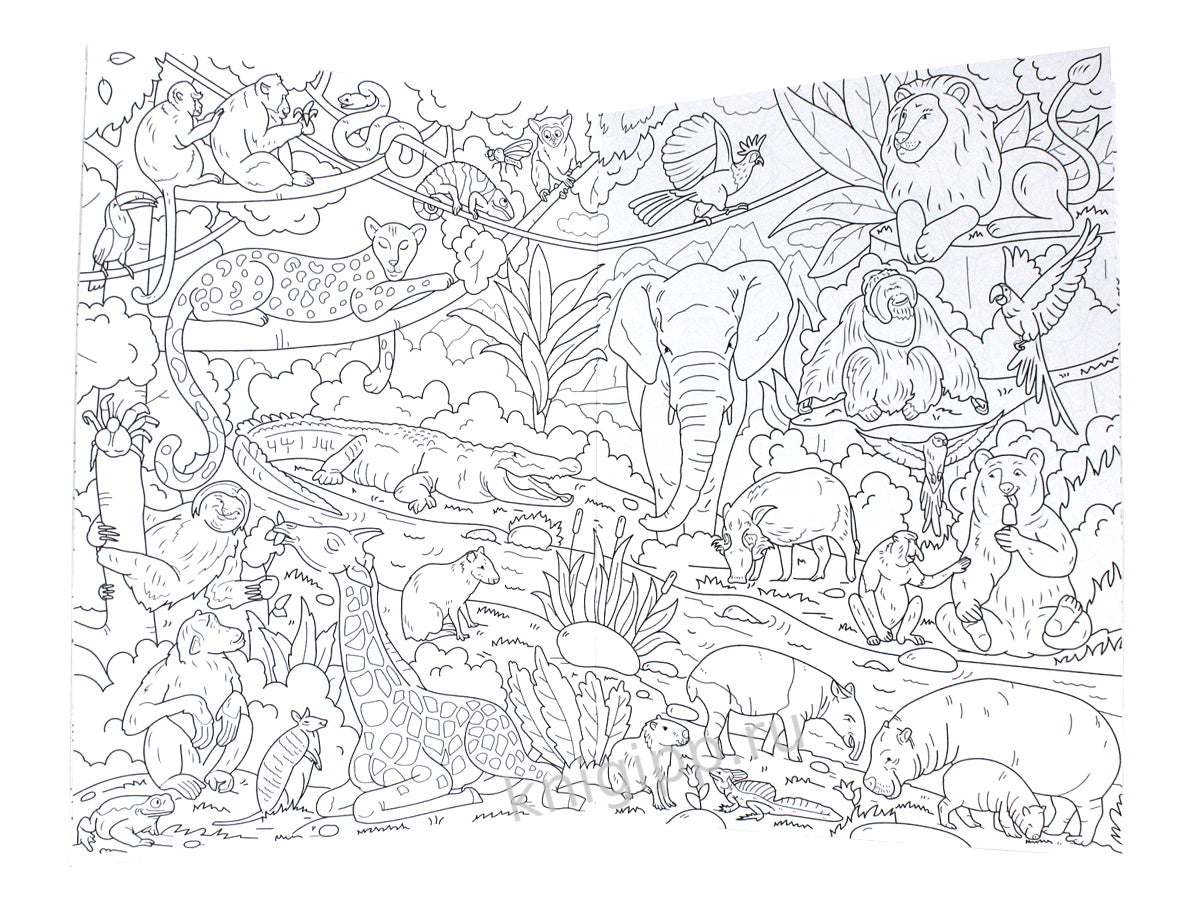 РАСКРАСКА-ВИММЕЛЬБУХ. ЖИВОТНЫЙ МИР