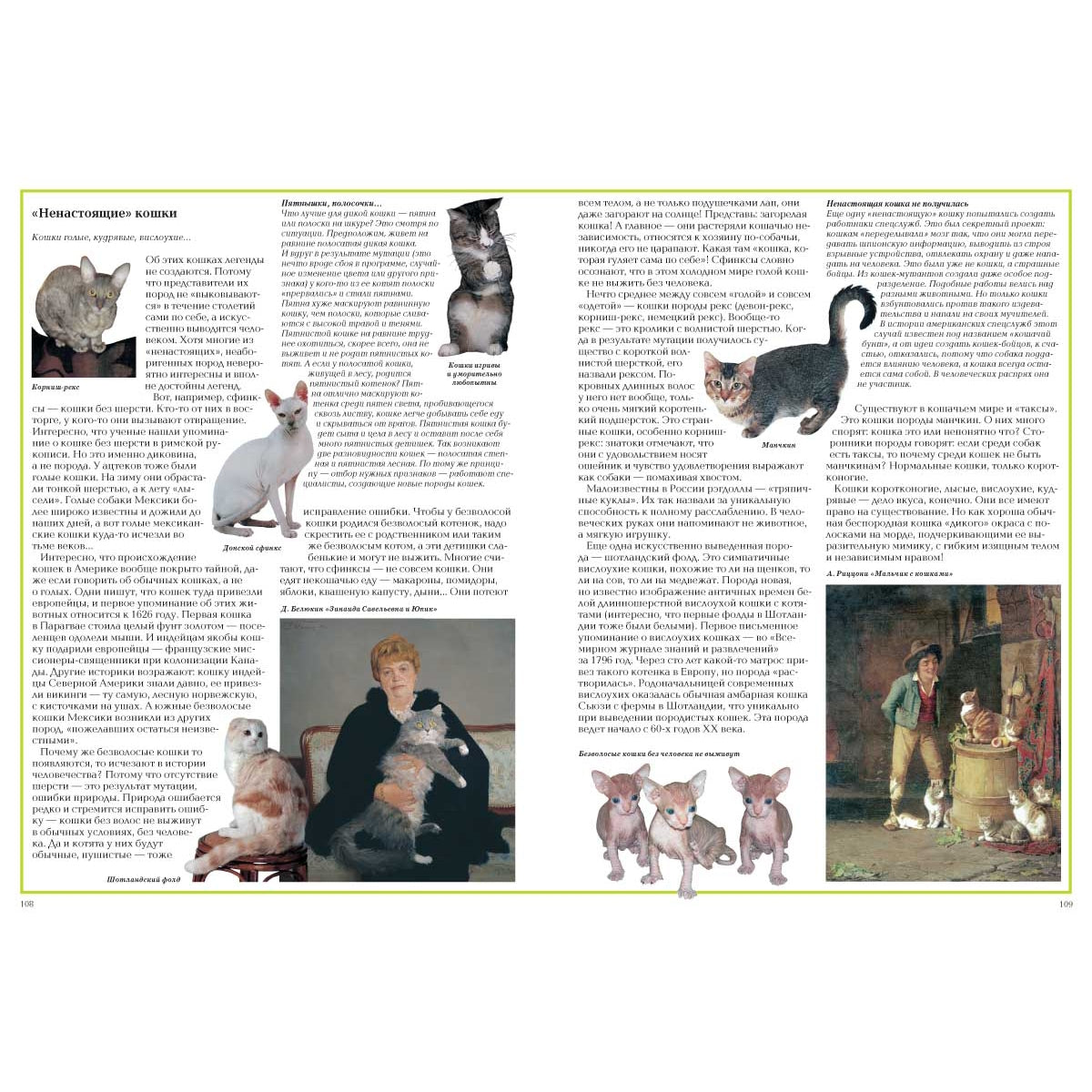 Загадки животного мира