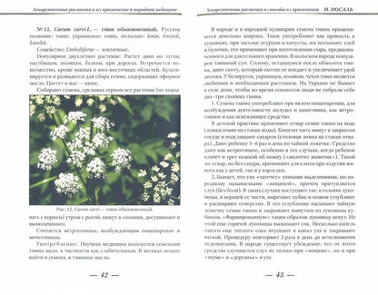 Лекарственные растения и способы их применения в народе. (цвет)