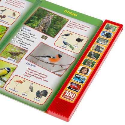 100 голосов окруж. мира (10 зв.кнопок, 100 звуков) 233х302мм 10 стр Умка в кор.24шт