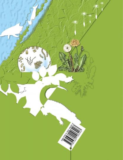 Биология. 5-6 классы. Рабочая тетрадь №2.