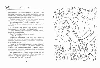 Жук и геометрия