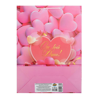 Paquet sous-marin XL, paquet sous-marin xl, couleur argent 5*12 pouces
