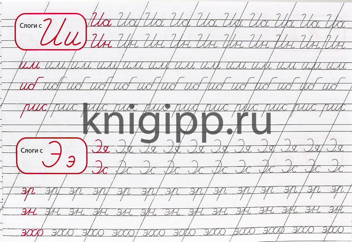 КАЛЛИГРАФИЧЕСКАЯ ПРОПИСЬ А5. альбомная. ПИШЕМ СЛОГИ