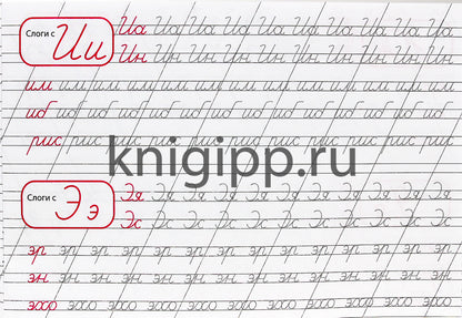 КАЛЛИГРАФИЧЕСКАЯ ПРОПИСЬ А5. альбомная. ПИШЕМ СЛОГИ