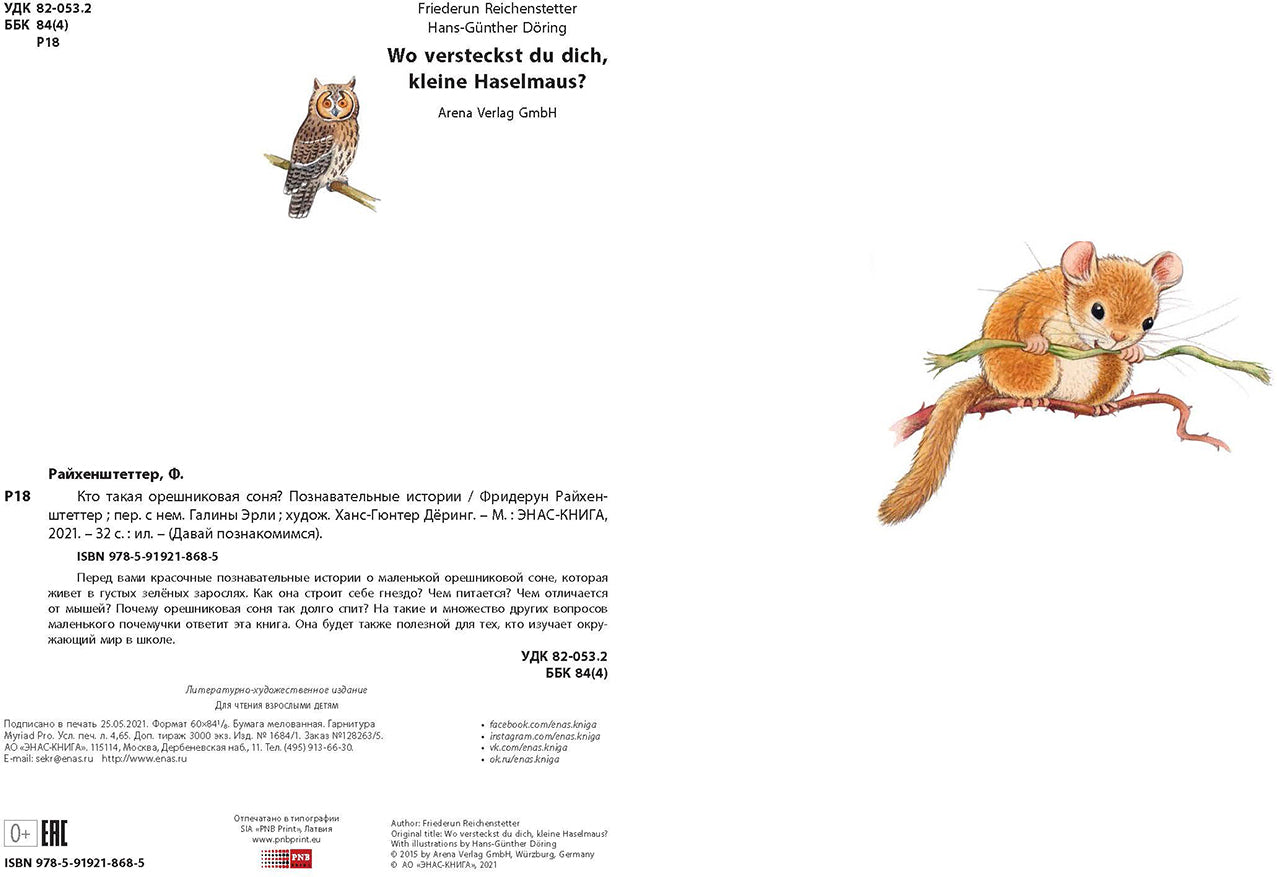 Кто такая орешниковая соня? Познавательные истории (НОВИНКА)