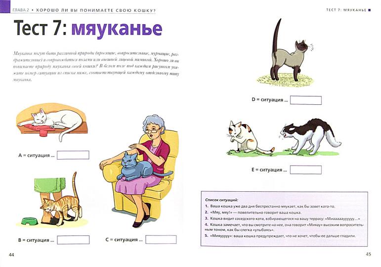 Расшифруйте язык вашей кошки