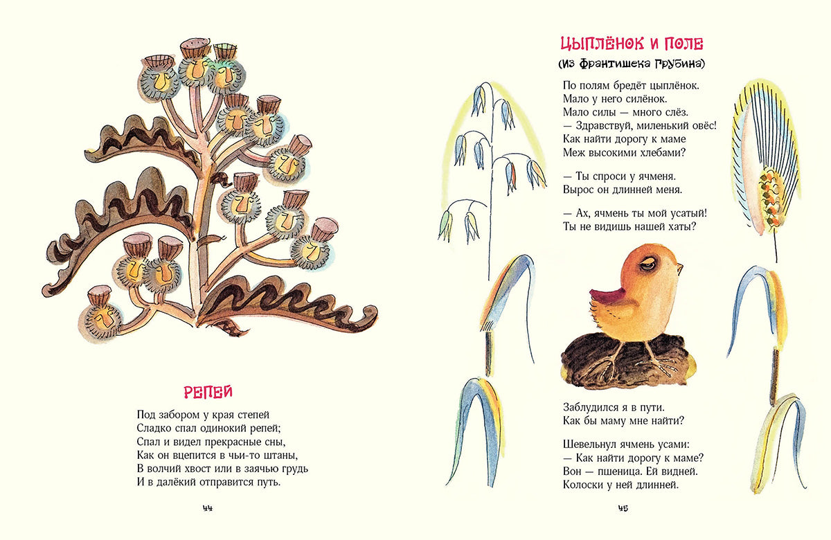Берестов. Картинки в лужах