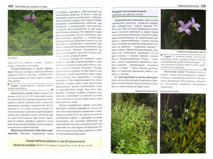 Полный атлас-определитель: Лек. растения и грибы