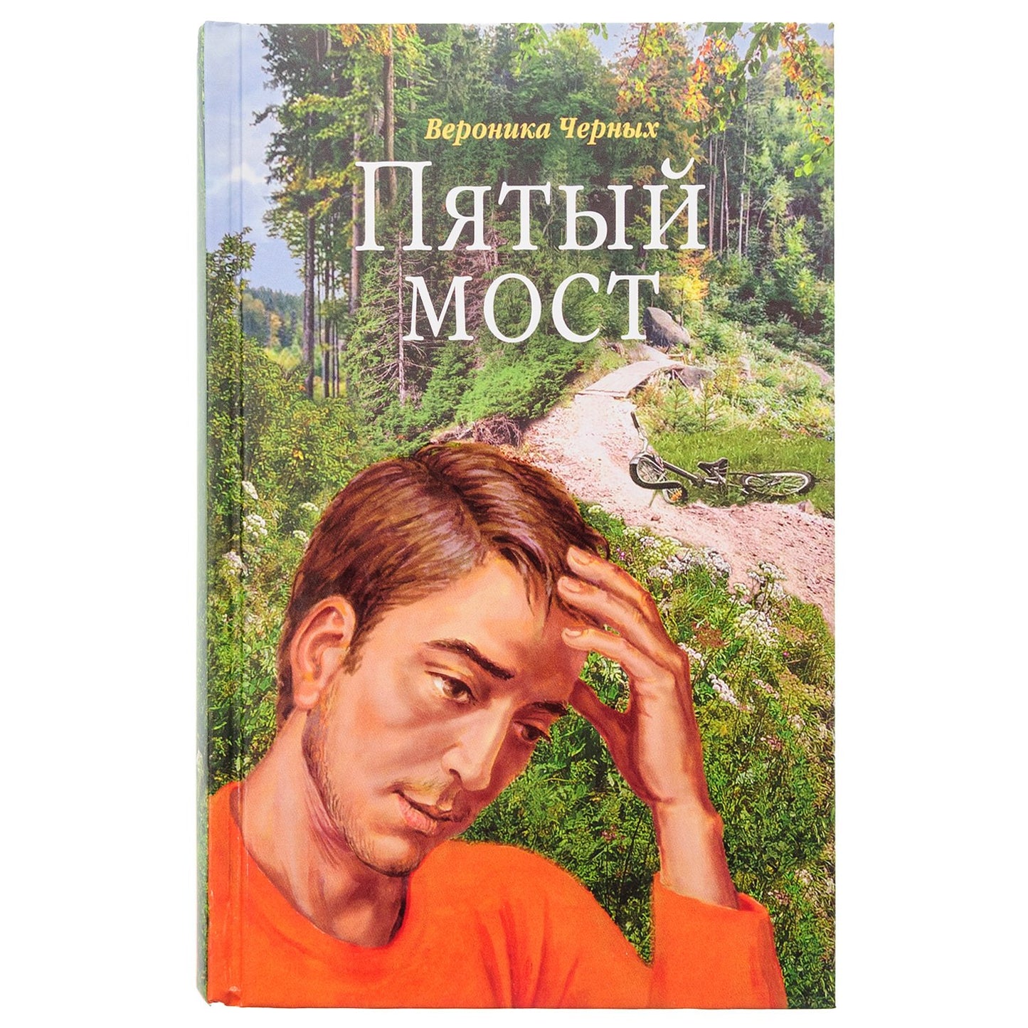 Пятый мост: роман