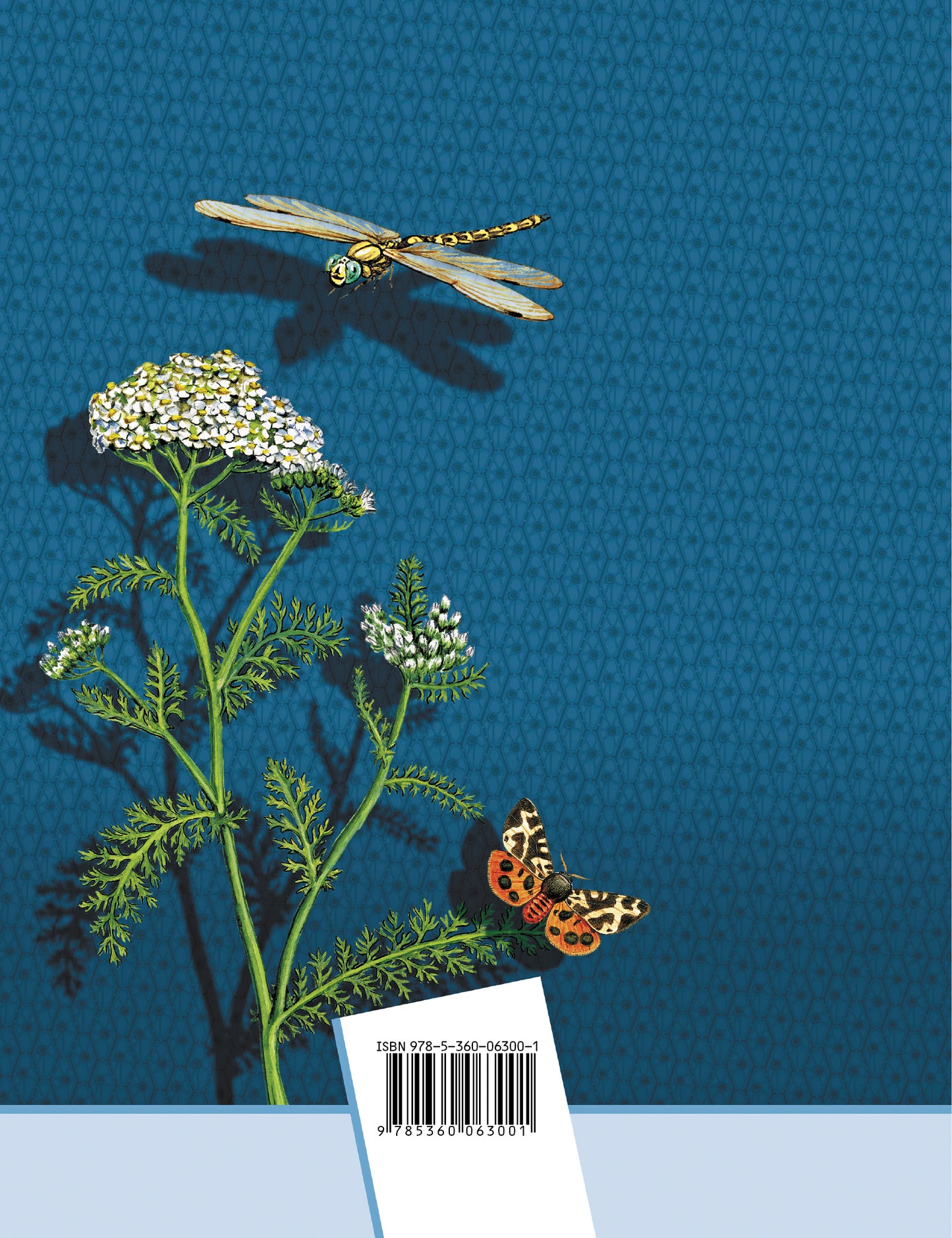 Биология. 5 класс. Рабочая тетрадь.