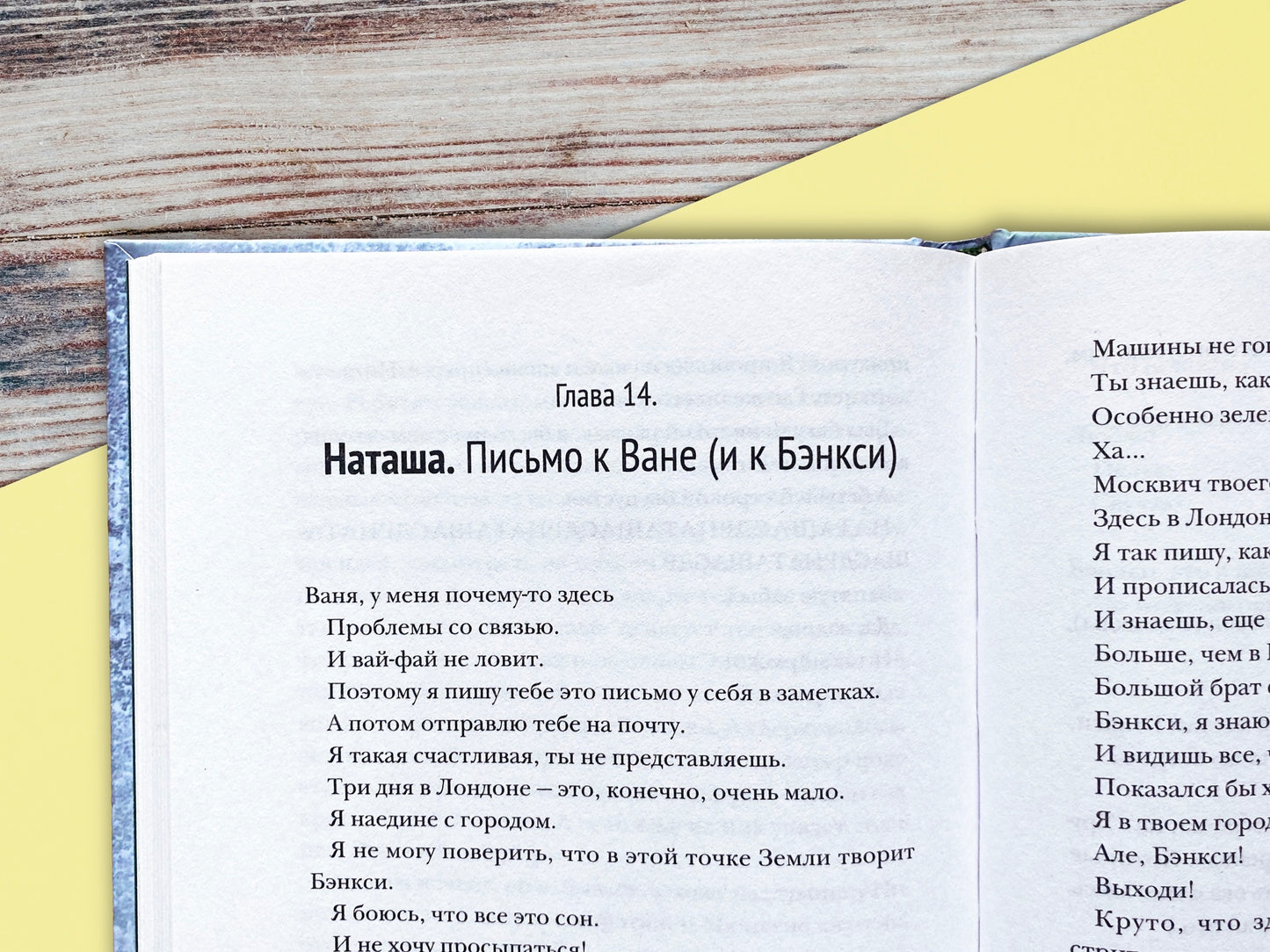 Во всем виноват Бэнкси