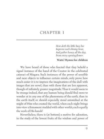 The Oak Openings; or, the Bee-Hunter = Прогалины в дубровах, или Охотник за пчелами на англ.яз. Cooper J.F.