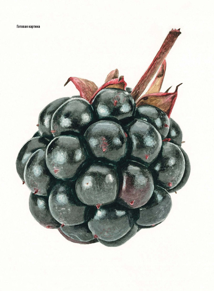 Волшебный мир Анны Мэйсон. Рисуем природу акварелью. Все секреты реалистичной живописи