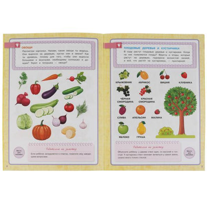 Школа Жуковой. Окружающий мир. М.А.Жукова. Годовой курс. 214х290мм. 16 стр.+наклейки. Умка в кор50шт