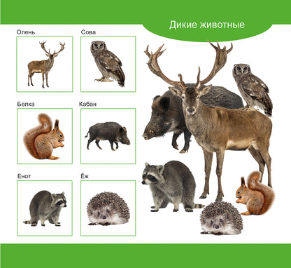 Лото деревянное. Учись играя. Домашние и дикие животные