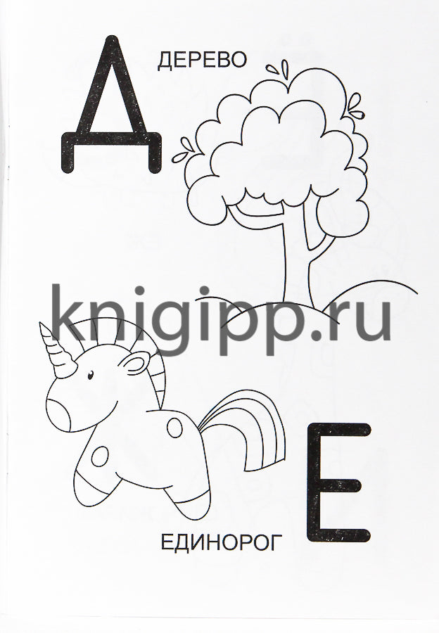 РАСКРАСКА А5 эконом. АЗБУКА