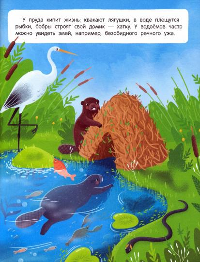 Звери и не только: книжка с наклейками