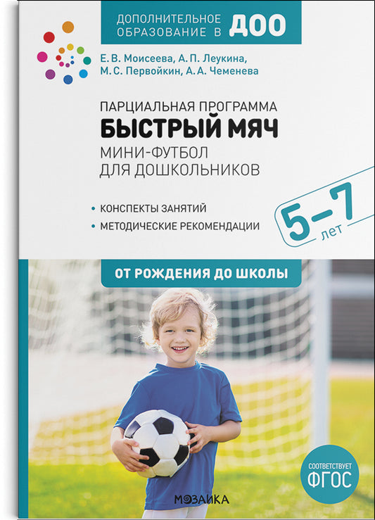 Парциальная программа «Быстрый мяч». Мини-футбол для дошкольников 5-7 лет. ФГОС. Дополнительное образование в ДОО