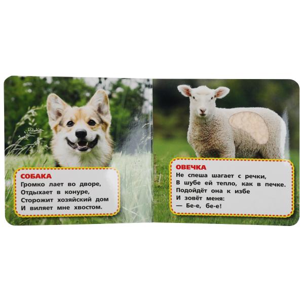 Любимые жив-ные Степанов В.А. (карт. книга 3 разв. с 4 тактил. эл-тами) 120х120мм Умка в кор.4*36шт