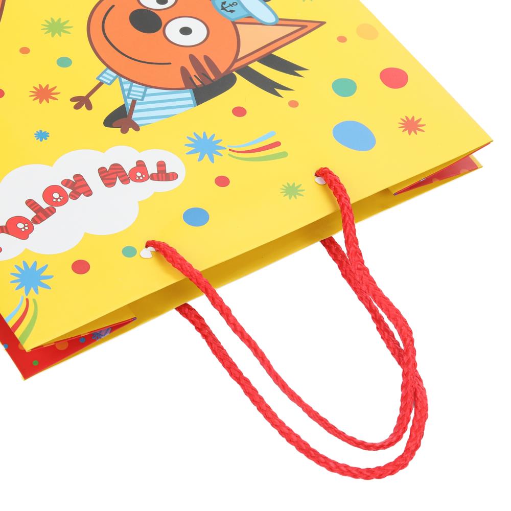 Paquet sous-marin de 10 x 12 pouces