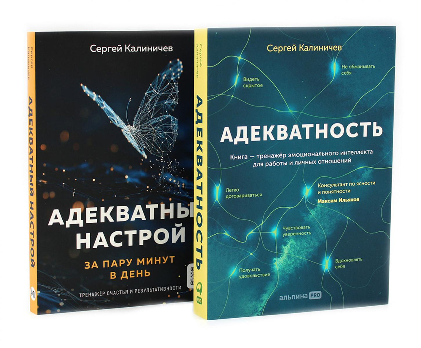 Адекватность; Адекватный настрой за пару минут в день: Тренажер (комплект из 2-х книг)