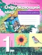 Окружающий мир 1кл [Проверочные работы]