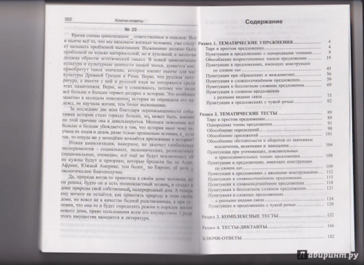 Русский язык. Пунктуация: упражнения и тесты