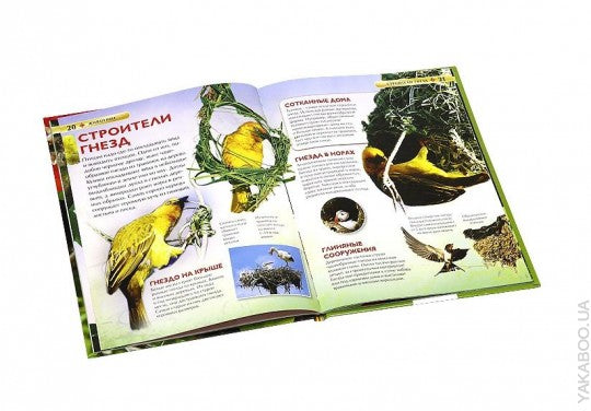 Животные. Детская энциклопедия