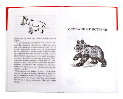 Забавные животные