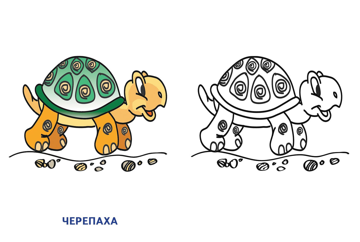 Домашние питомцы