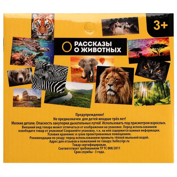 Jouet en plastique pour dinosaure, 14,7x5,3x4,5 cm, affichage individuel, ISLAND, VOMM, en cor.2*90