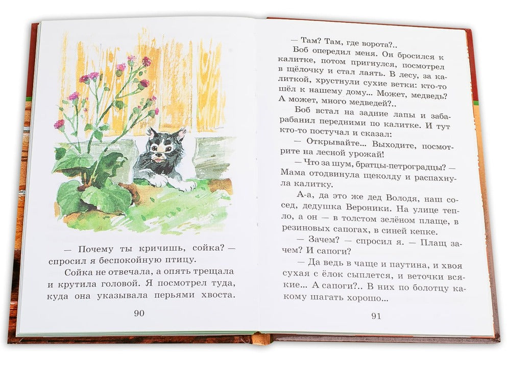 Сибирский Валенок (рассказы о детях и их домашних питомцах)