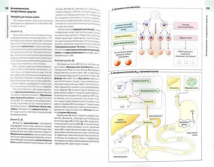 Фармакология. Атлас. Люлльман Х.