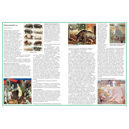 Загадки животного мира