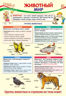 ПО-13407 Плакат А3. Окружающий мир в начальной школе. Животный мир