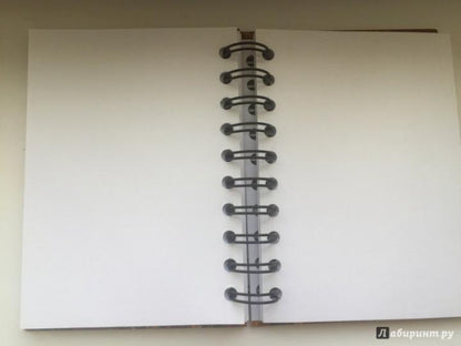 Блокнот. Скетчбук. А6. Климт. Поцелуй-01696