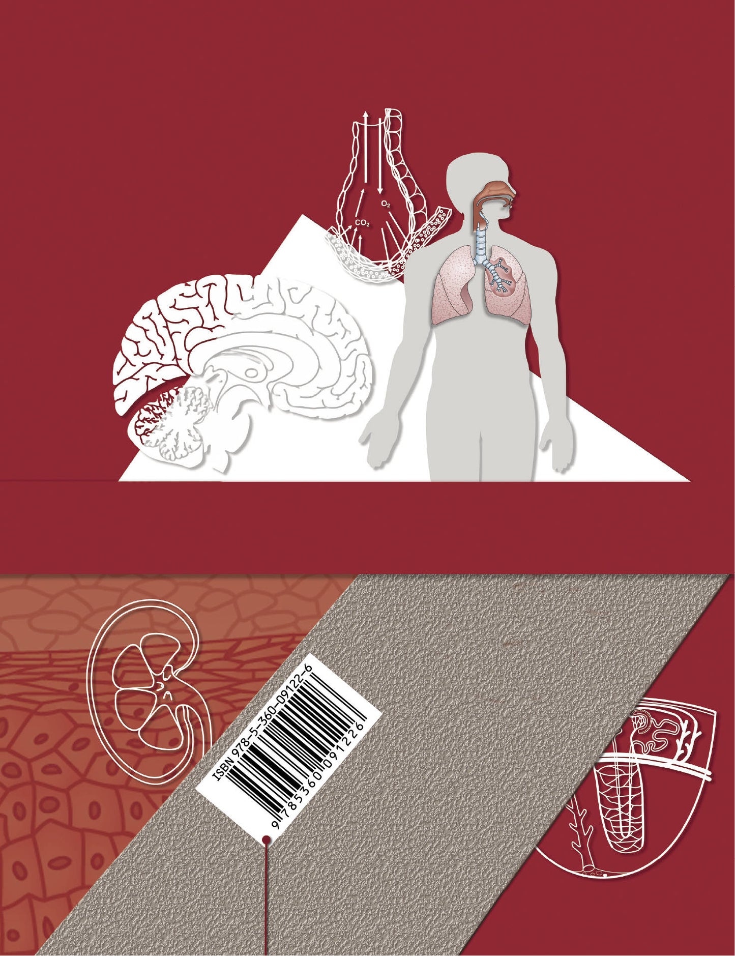 Биология. 9 класс. Учебник.