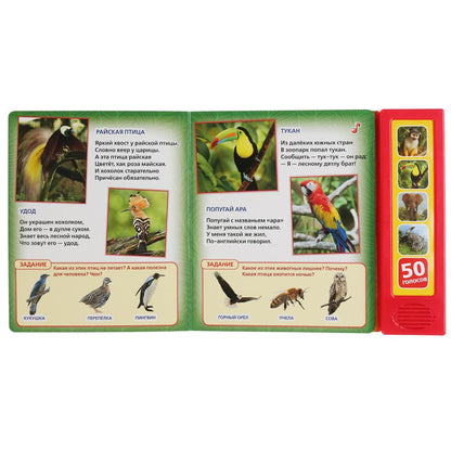 "Умка". Зоопарк. В.Степанов (5 звук. кнопок, Говорящая энциклопедия). 200х175мм, 10 стр. в кор.32шт