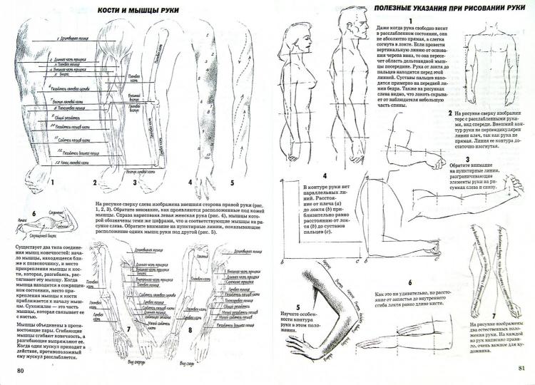 Как рисовать голову и фигуру человека