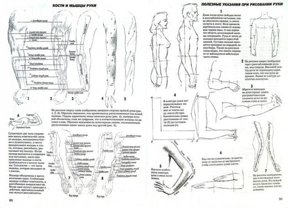 Как рисовать голову и фигуру человека