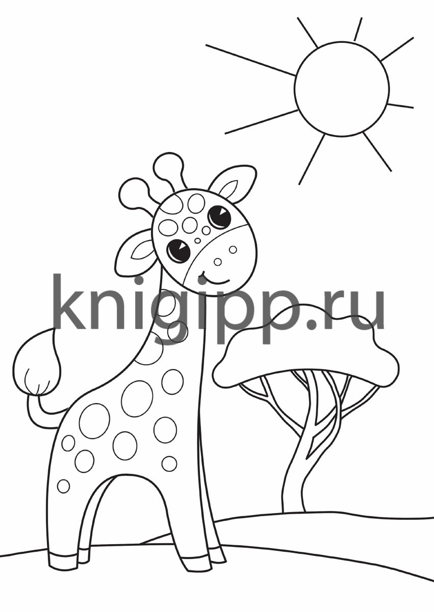 РАСКРАСКА А4 эконом. МОИ КАРТИНКИ