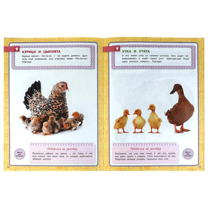 Животные. Годовой курс с поощрительными наклейками. Школа Жуковой. 1–2 года.16 стр. Умка. в кор.50шт