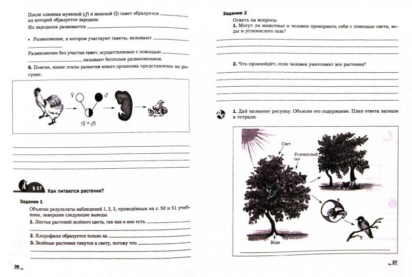 Биология. 5-6 классы. Рабочая тетрадь №1.