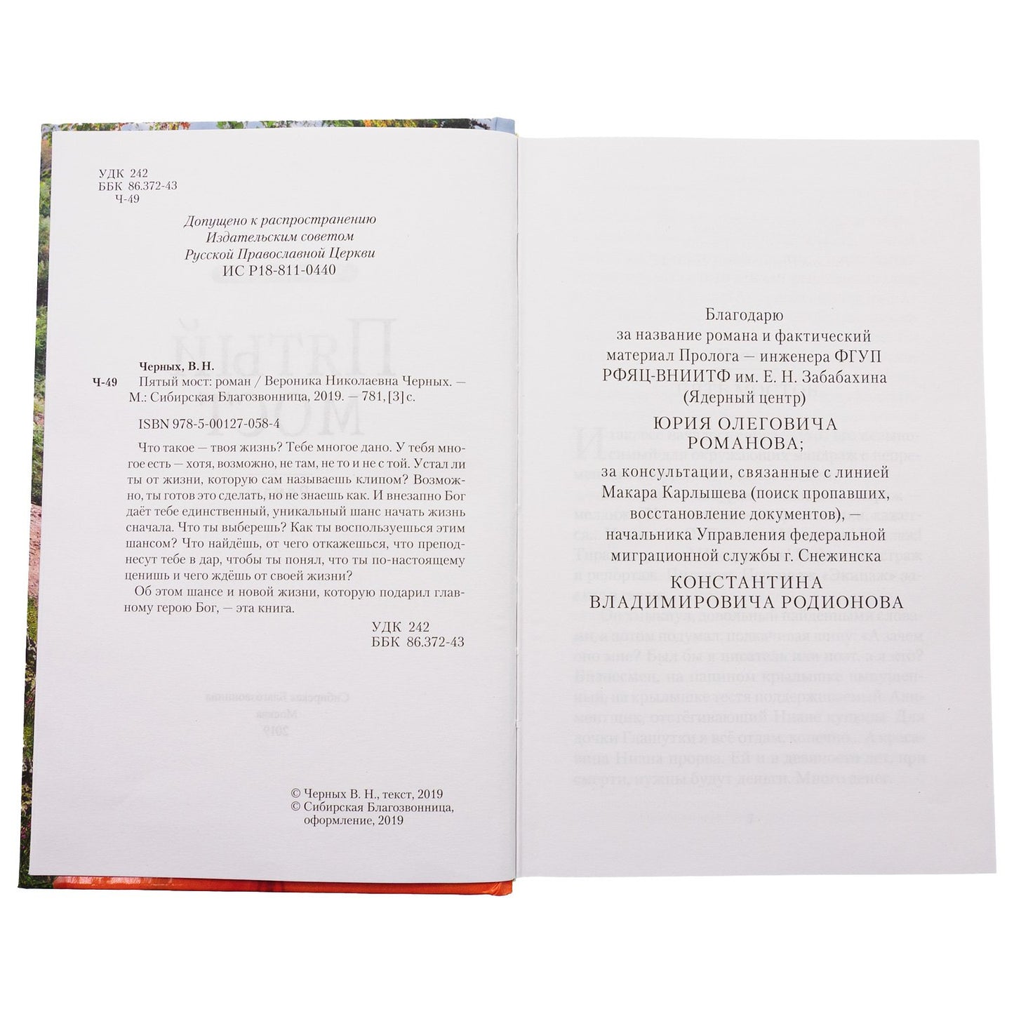 Пятый мост: роман