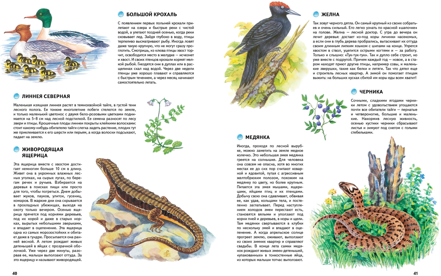 Природа России. Иллюстрированная энциклопедия